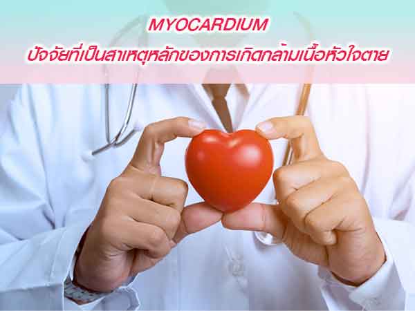 Myocardium